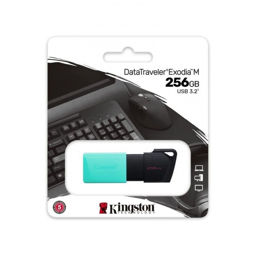 usb-256-gb-kingston-exodia-m-32